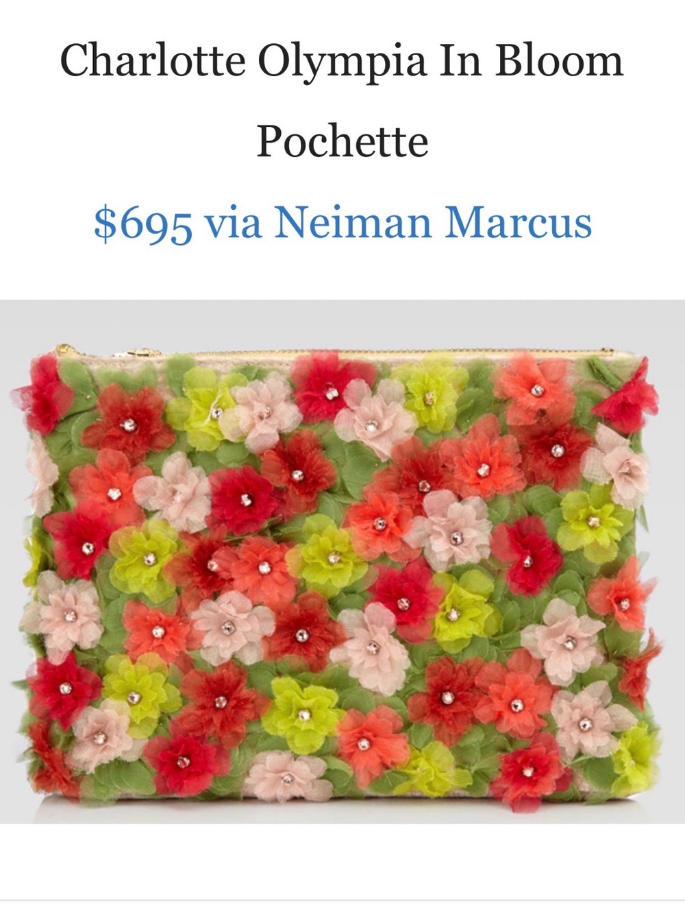 Charlotte Olympia Floral Appliqué Pochette in Red, Pink, Green, Yellow